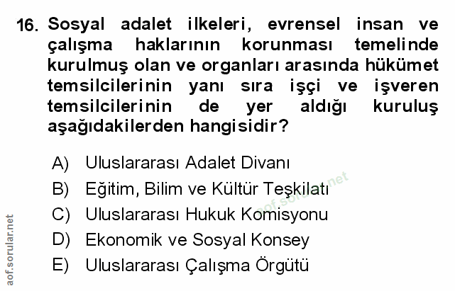 Soru 16