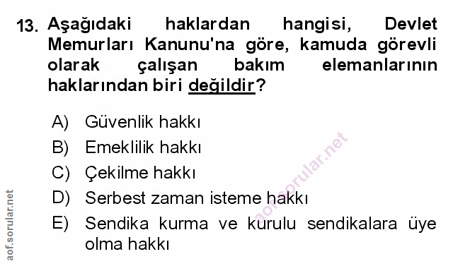 Soru 13