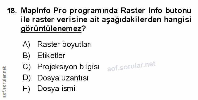 Soru 18