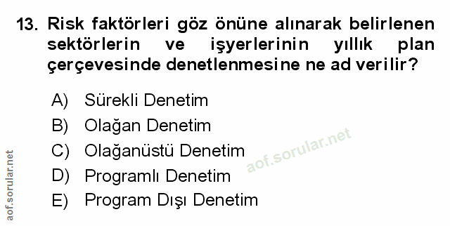 Soru 13