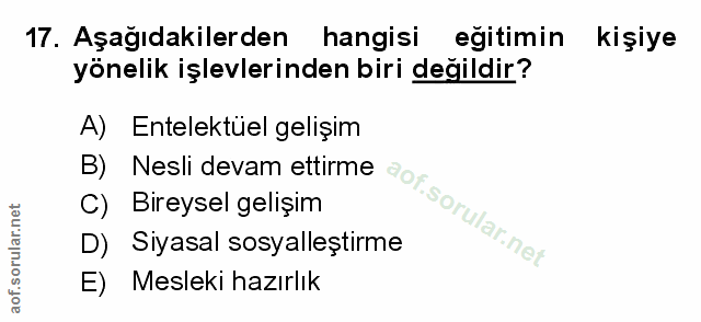 Soru 17