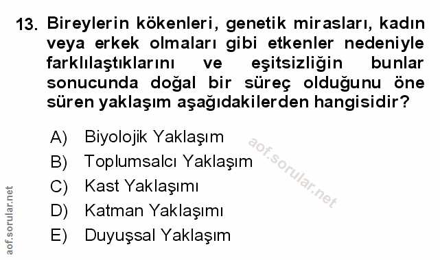 Soru 13