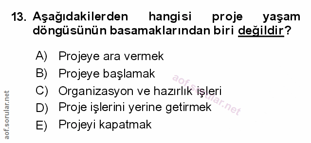 Soru 13