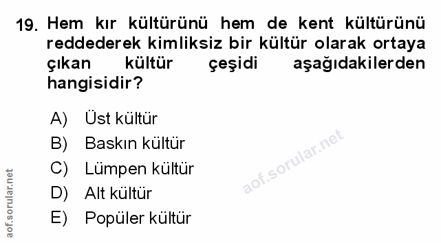 Soru 19