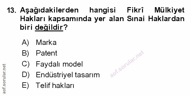 Soru 13
