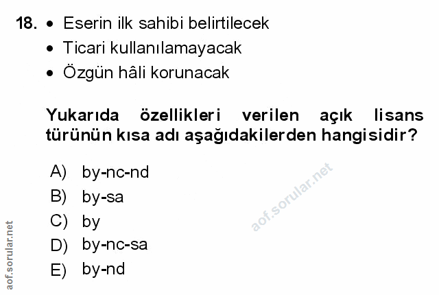 Soru 18