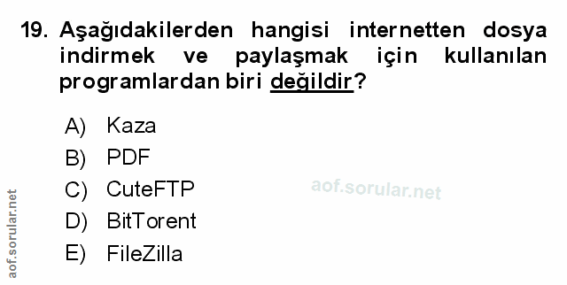 Soru 19