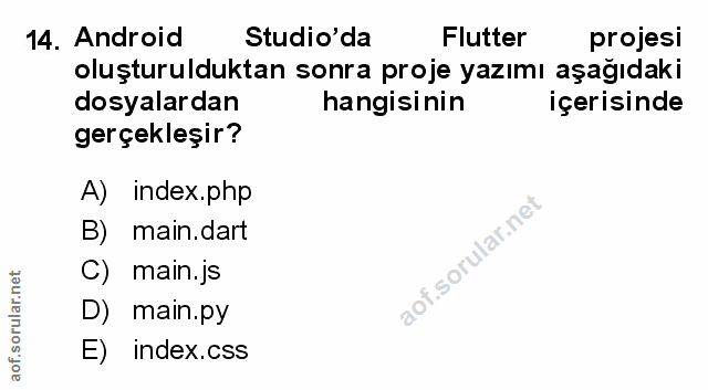 Soru 14