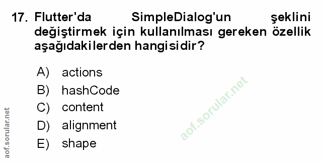 Soru 17