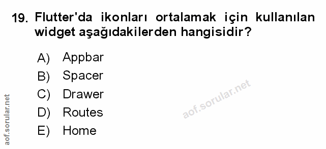 Soru 19