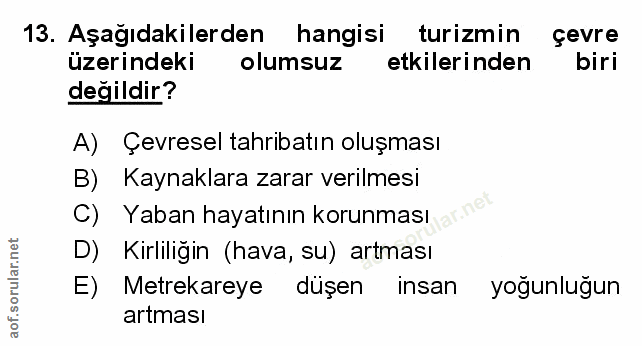 Soru 13