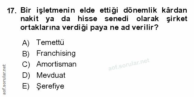 Soru 17