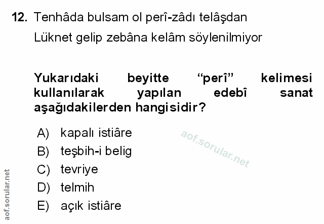Soru 12