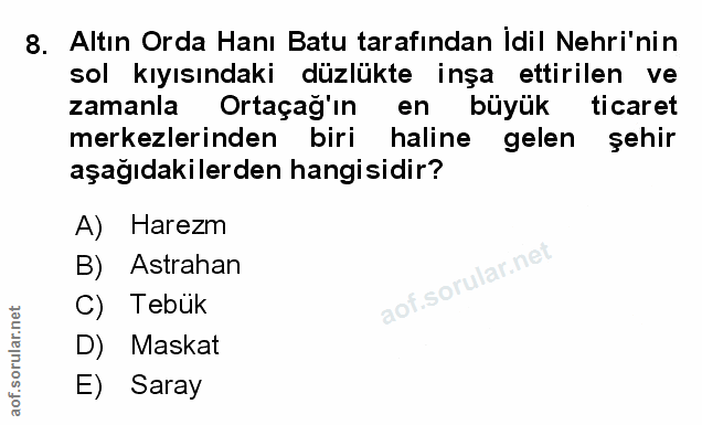Soru 8