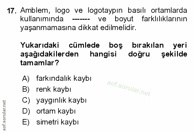 Soru 17
