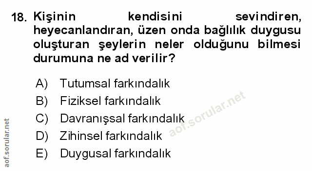 Soru 18