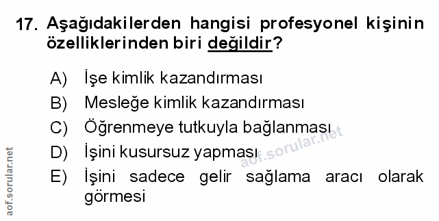 Soru 17