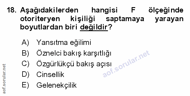 Soru 18