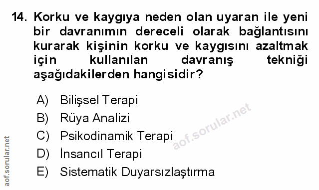 Soru 14