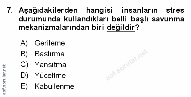 Soru 7
