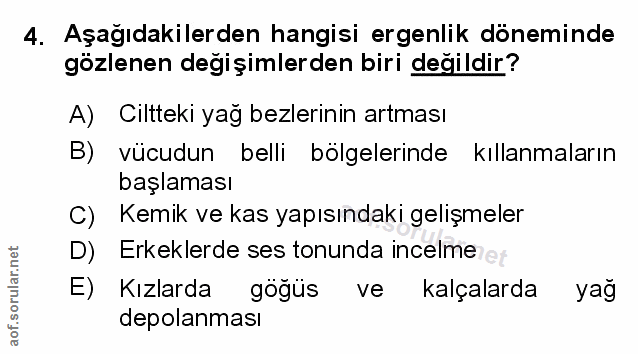 Soru 4