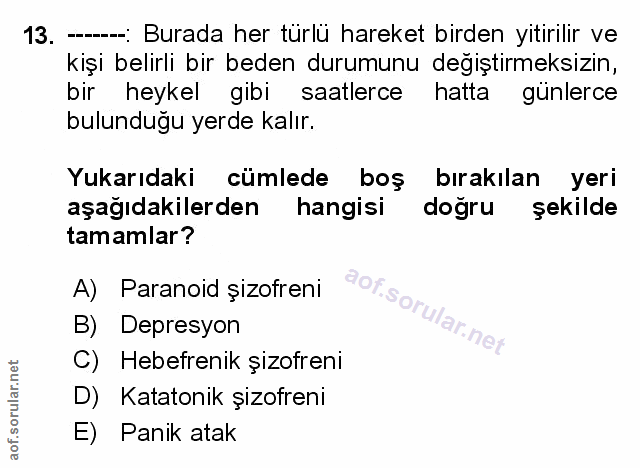 Soru 13