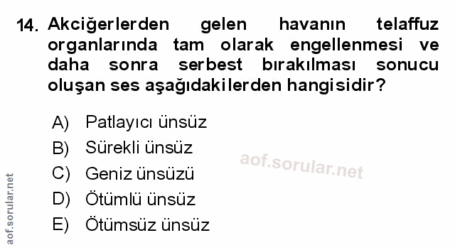 Soru 14