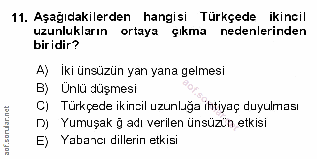 Soru 11