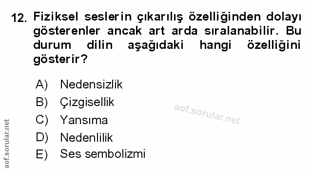 Soru 12