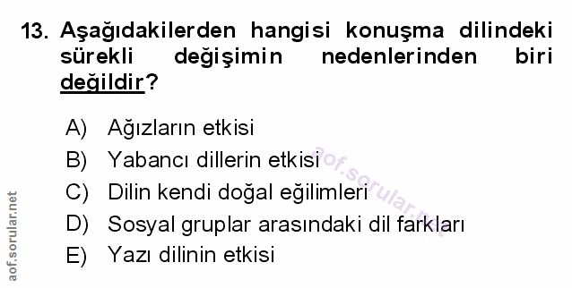 Soru 13