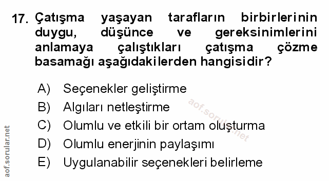 Soru 17