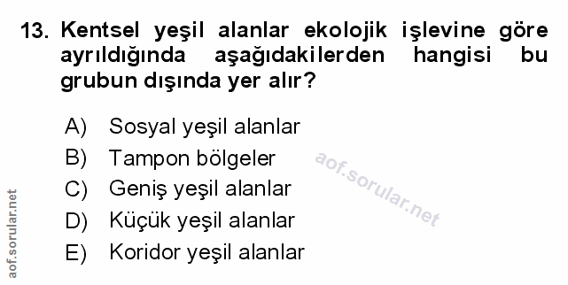 Soru 13