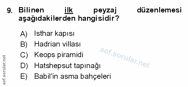 Soru 9
