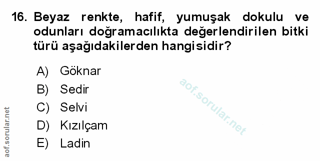 Soru 16