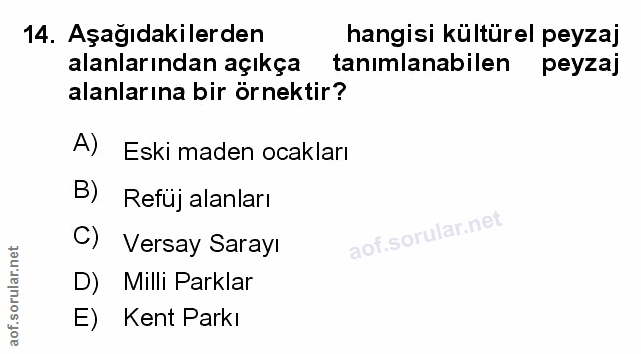 Soru 14