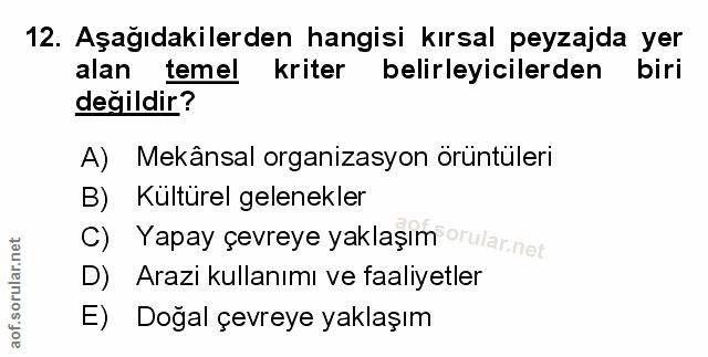 Soru 12