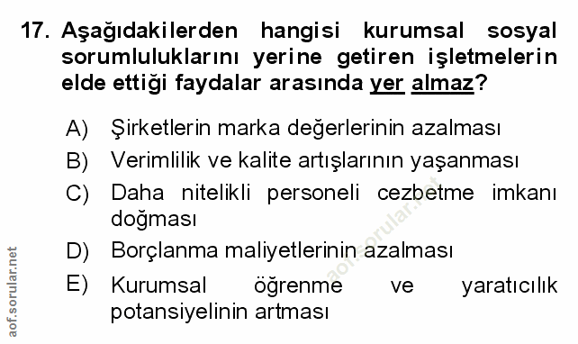 Soru 17