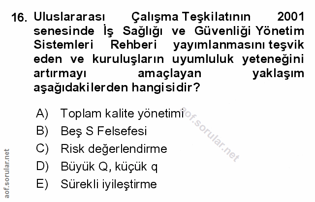 Soru 16