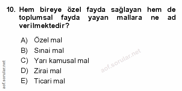 Soru 10