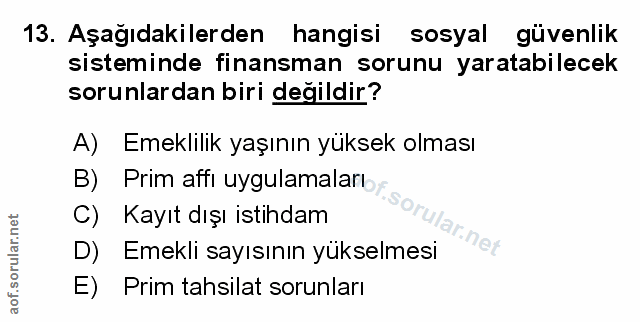 Soru 13