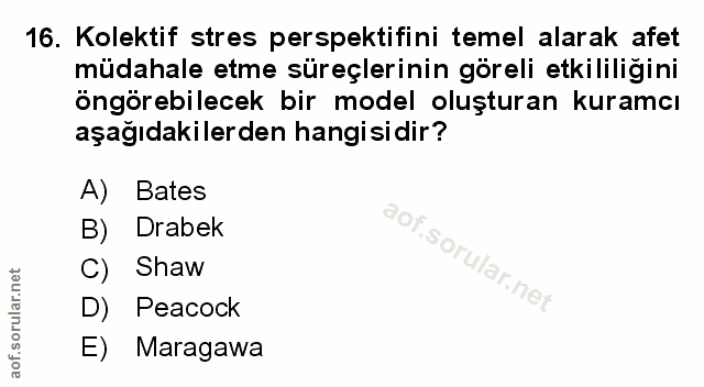 Soru 16