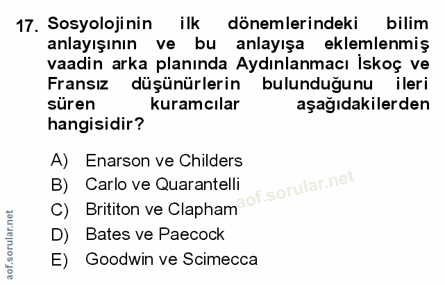 Soru 17