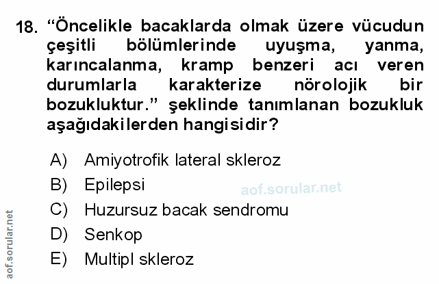 Soru 18
