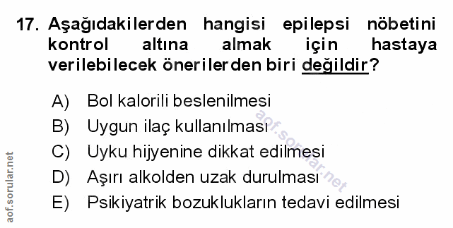 Soru 17