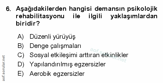 Soru 6