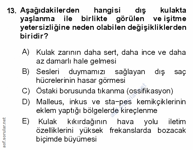 Soru 13