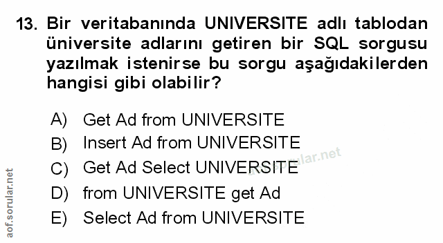 Soru 13
