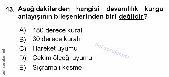 Soru 13