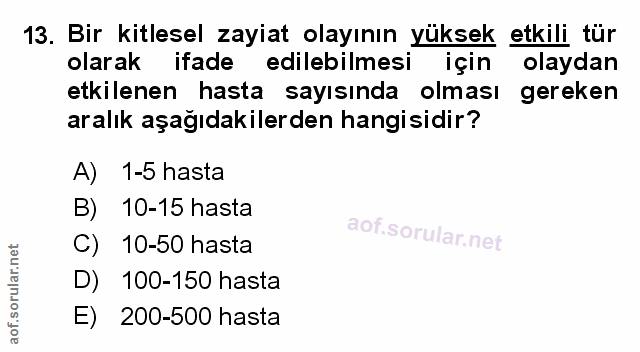 Soru 13
