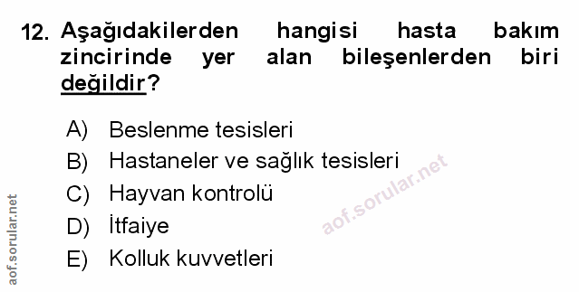 Soru 12